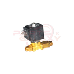 Rancilio Valve Inlet+ Check 220V 50Hz 10060517