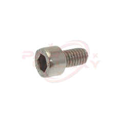 Cylinder Head Screw M6X10