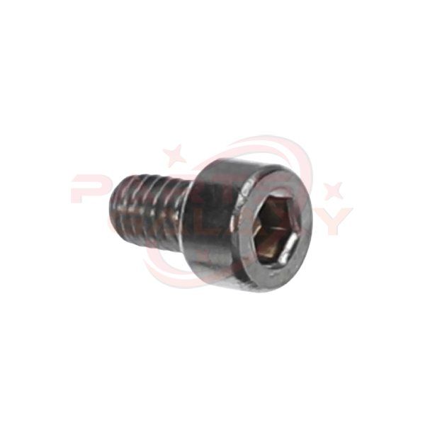 Schaerer 3371001015 Hex Socket Cap Scr. M4X6 Inox