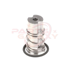Thermoplan Masterna 40500.1041 Plunger Kit Parker Lucifer