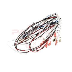 Bunn 40666.0005 Wiring Harness,Axiom Twin Aps