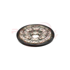 Bunn 40670.1021 Kit,Sprayhead Assy, 21Holew/Wave Titan
