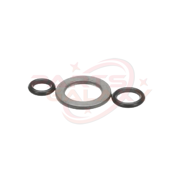 Bunn 44167.1000 Kit,Washer/O-Ring