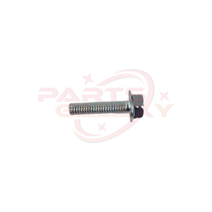 Saeco (U046.004) Screw Tefz M6,0X26 Galv. 996530061863
