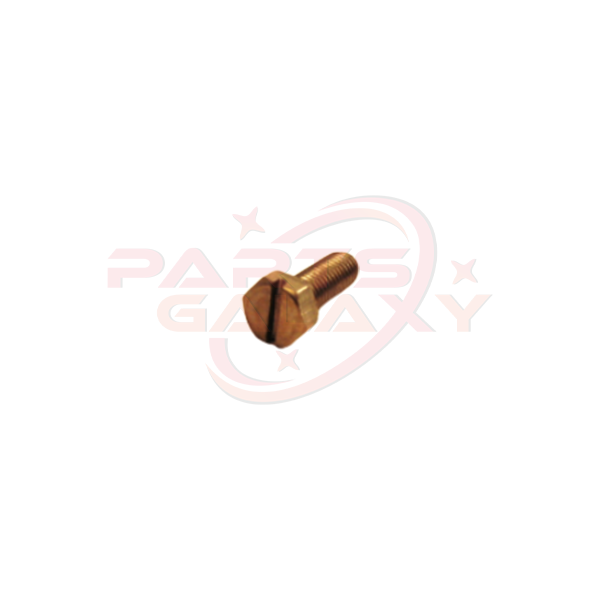 Rancilio Shower Screw 37030518