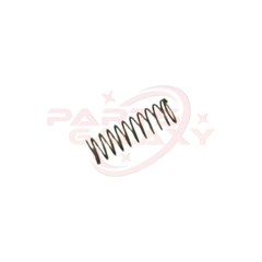 Rancilio Spring Check Valve 69140018