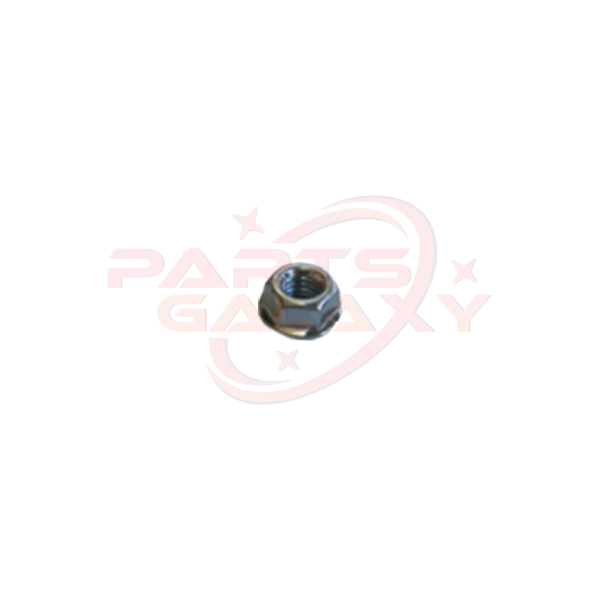 Rancilio Nut M6 80134961